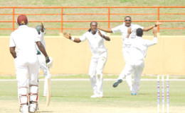 Steven Jacobs and some members of the Guyana team celebrate the fall of another wicket. (Orlando Charles photo)

