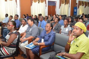 Local representatives at the UN Caribbean Multi-Country Sustainable Development Framework Country Consultation Workshop (GINA photo) 