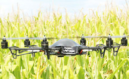 Drone being used to examine corn
