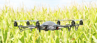 Drone being used to examine corn  