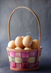 Stock up on fresh eggs (Photo by Cynthia Nelson) 