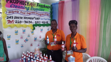 Roxanne Beresford and Claudette Croft used Business Exposition 2015 to self-promote. They quickly identified the supermarkets their air fresheners are sold at and spoke to Stabroek News about expanding. They noted that they used the expo to familiarise themselves with potential customers and to network as much as they could. They had hoped for larger businesses to be present that could offer them opportunities to carry their product.