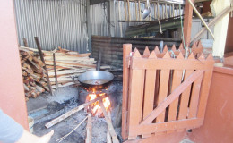 The Fire side utilized by Mohanlall Kissoon to cook his dogfood. His neighbour Narissa Deokarran contends that the smoke from the burning of the wood daily aggravates her allergies, thereby crippling her with respiratory problems.  