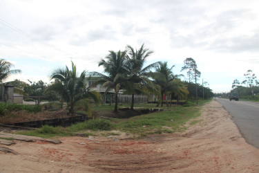 A section of the village
