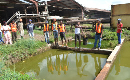 Workers stand at the rancid pond from which they are forced to dip water and which they reported has made them sick. (Social Protection Ministry photo)