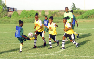 Semi-final action between St Stephen’s and South Ruimveldt at the Ministry of Education ground in the 2nd Smalta/Ministry of Public Health Girls U-11 Football Championship