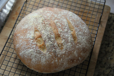 Baked No-knead Bread (Photo by Cynthia Nelson) 