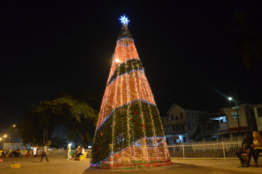 20151213christmas tree
