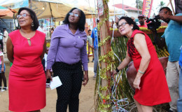 First Lady Sandra Granger (right) turning on the tree. Minister of Tourism, Cathy Hughes is at left. (Ministry of the Presidency photo)
