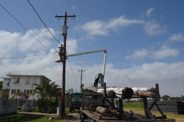 The old poles were replaced with these new ones. 