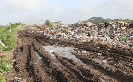 Part of the Lusignan landfill
