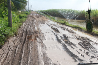 The dire state of the road leading to the Lusignan landfill (Keno George photo)