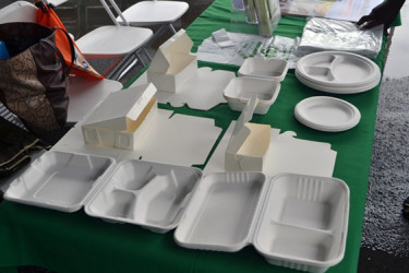 Some of the alternative products that the EPA recommends as alternatives to the use of Styrofoam (GINA photo)