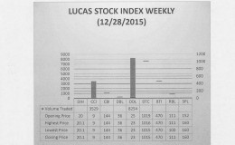 LUCAS STOCK INDEX
The Lucas Stock Index (LSI) fell 1.062 percent during the final period of trading in December 2015.  The stocks of two companies were traded with 11,783 shares changing hands.  There were no Climbers but there was one Tumbler.  The stocks of Demerara Distillers Limited (DDL) fell 8 percent on the sale of 8,254 shares.  In the meanwhile, the stocks of Caribbean Container Inc. (CCI) remained unchanged on the sale of 3,529 shares.  