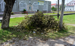 The heap of leaves and small branches with garbage on Brickdam.
