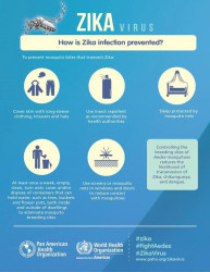 A PAHO/WHO Factsheet on how to prevent Zika transmission. 