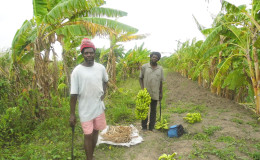 Leroy and Vibert Hamer display some of their harvest
