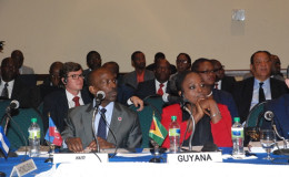 A section of the Guyana delegation at the 21st Ordinary Meeting of the Ministerial Council for the Association of the Caribbean States in Petion-Ville, Haiti (GINA photo)