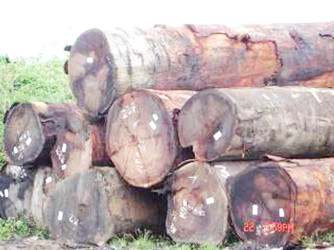 Logs for export  