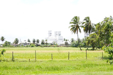 An Essequibo rice field with rice mill in the background