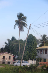 An electricity pole that needs immediate attention 