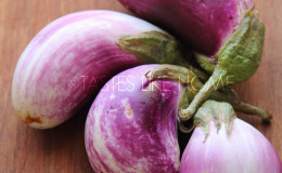 Choose any variety of small eggplants
Photo by Cynthia Nelson
