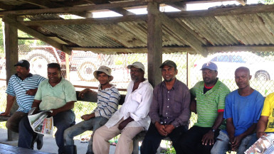 Some of the private cane farmers waiting on their cane to be discharged at the Wales estate last week 