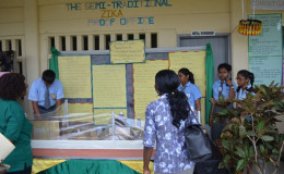 The Diamond Secondary School’s semi-traditional zika proof office project (GINA photo)