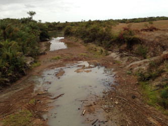 What was once a flowing body of water under the Pirara Bridge has been reduced to puddles 