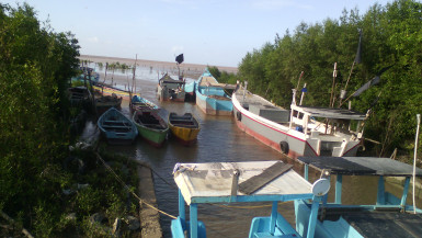 Boats moored at the koker in Montrose