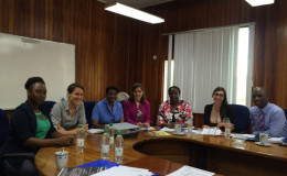 Permanent Secretary of the Ministry of Business, Rajdai Jagarnauth (third from  left), and the World Bank’s team. The team’s head is Senior Private Sector Development Specialist, Alice Ouedraogo (fifth from left) (GINA photo)