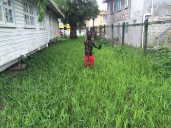 One of the parents showing the height of the grass 