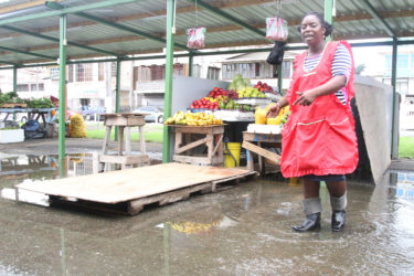 Vendor Melissa Roberts stands in the pool of water and points to the makeshift bridge leading to her stall. (Photo by Keno George) 
