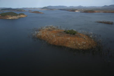 Trees and water marks are seen on previously submerged land at Guri dam in Bolivar state, Venezuela April 12, 2016. REUTERS/Carlos Garcia Rawlins