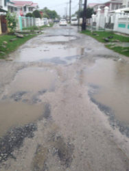 Several potholes in a section of the Kissoon Street, Better Hope.