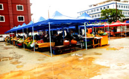 Shared tents: When Stabroek Business visited the new temporary vending site for the displaced Stabroek vendors on Tuesday they appeared ill at ease with the idea of two traders having to share   a single small tent at their new location.
