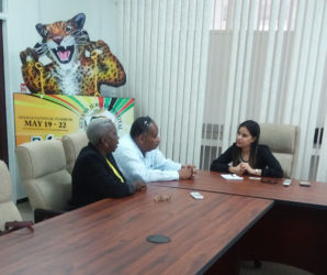 Wesley Kirton of the Guyanese-American Chamber of Commerce and Florida-based Guyanese businesswoman Joy Agness meeting with a Ministry of Tourism official in Georgetown
