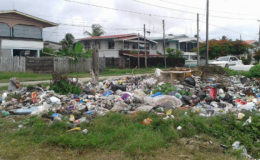 Residents and businesses dumped their garbage after it was not being collected.
