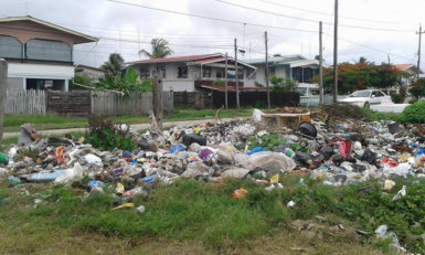 Residents and businesses dumped their garbage after it was not being collected. 