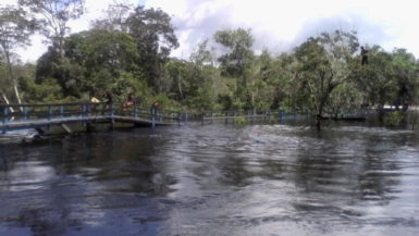 The main access bridge at Moraikobai partly under water. The high section is about 23 feet above the river bed. (GINA photo)