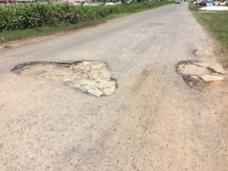 Craters on Agriculture Road  