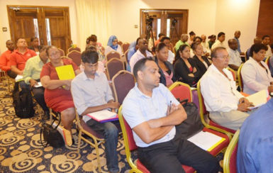 Participants at the National Consultation on the proposed regulations for Occupational Health and Safety in the manufacturing sector (GINA photo)
