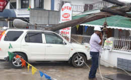 Roy Kirton’s Honda CRV which suffered extensive damage after a utility pole belonging to GPL collapsed on Monday.
