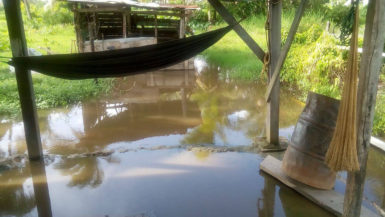 The murky floodwaters affecting residents of Lima, Essequibo Coast. 