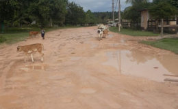 Kwakwani faces an acute crisis of bad roads