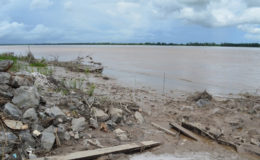 Mangrove and vegetation destroyed at Friendship sea and river defence  (GINA photo)