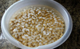 Rehydrated Chickpeas with gassy foam
(Photo by Cynthia Nelson)
