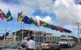 Flag welcome: Flags belonging to CARICOM nations were hoisted at the Eugene F. Correia International Airport yesterday as Guyana prepares to co-host the 37th Regular Meeting of the Conference of Heads of Government of the Caribbean Community which begins today. 