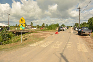 The 8.2 km Parika all-weather road and bridge project. (Ministry of the Presidency photo) 