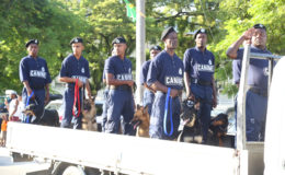 Canines on alert! Even the canine members of the Canine Unit seemed to be giving the eyes right as they passed the saluting dais.